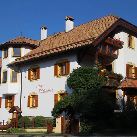 Apartment Edelweiss *